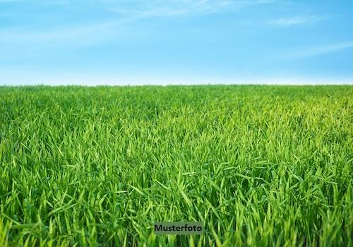 Keine Originalbilder