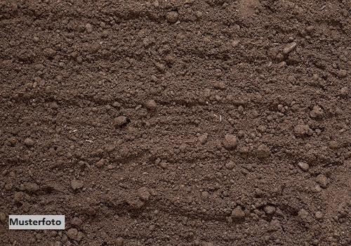 Keine Originalbilder