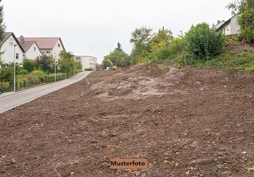 Keine Originalbilder