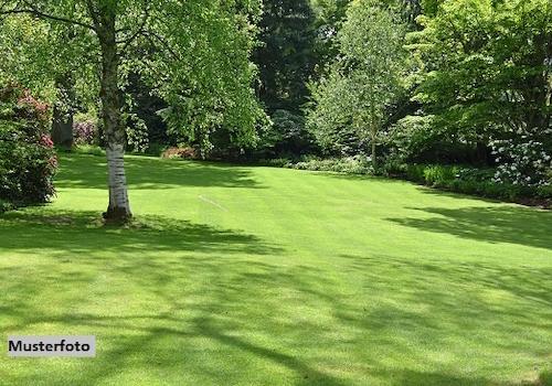 Keine Originalbilder