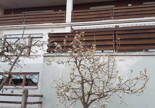 Ansicht von Süden aus