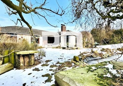 Traumgarten mit Gartenteich