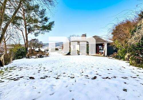 Traumgarten mit Gartenteich