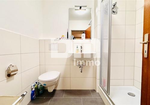 Badezimmer / Dusche / Waschmaschine