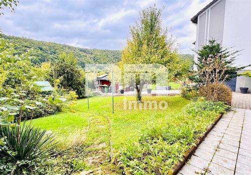 Großer Gartenbereich / Zufahrt