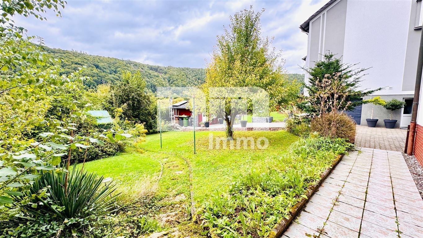 Großer Gartenbereich / Zufahrt