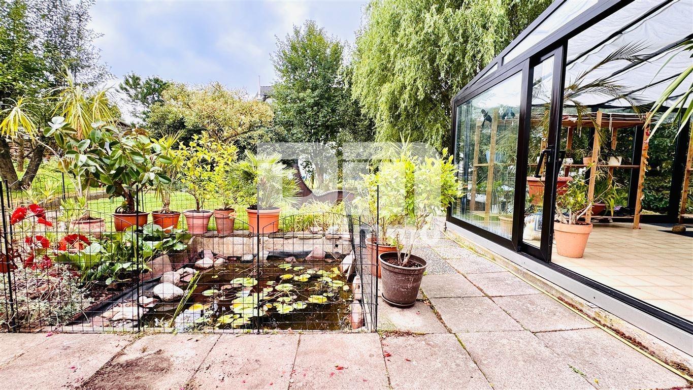 Terrasse / Gartenteich