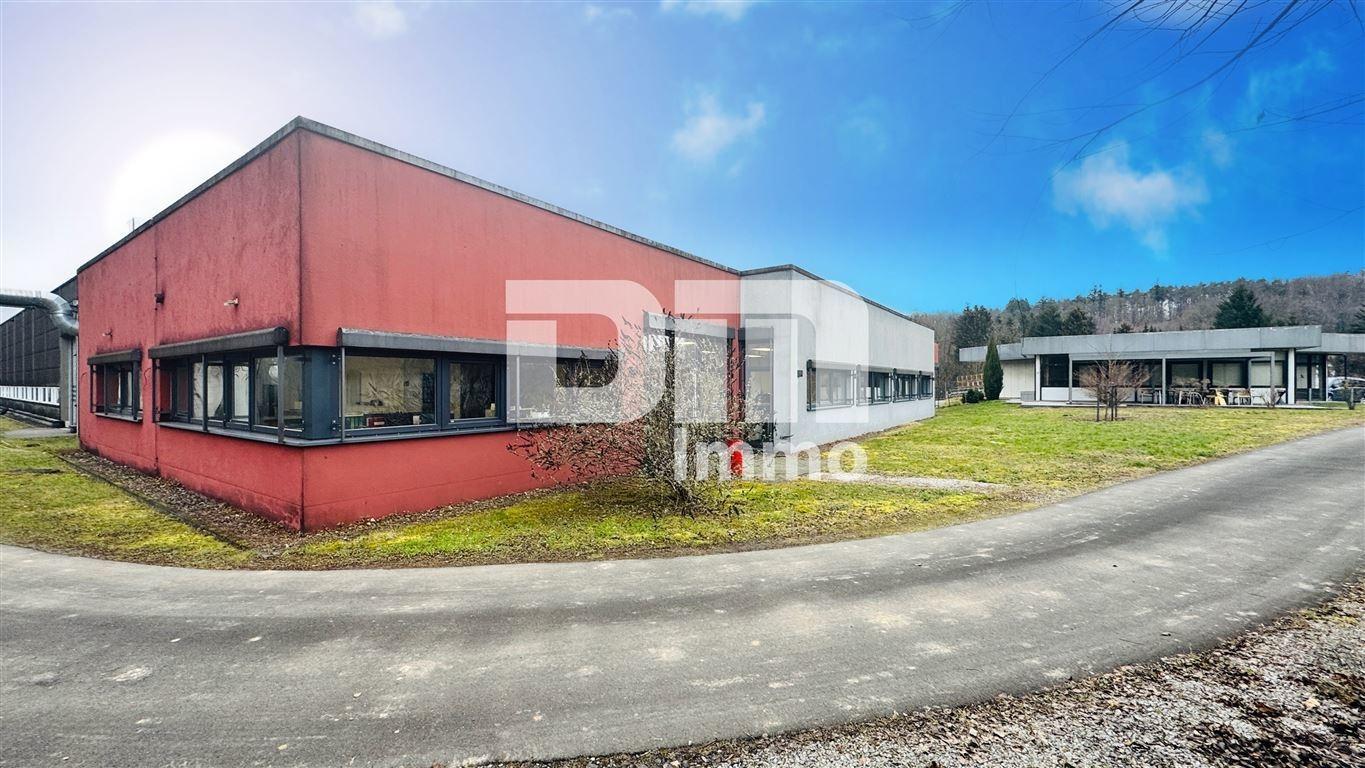 Bürogebäude Rückansicht/ Zufahrt Rückseite Halle 1