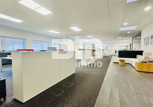 Hauptbüro / Gemeinschaftsbüro