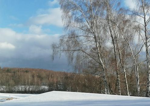 Property thumbnail 12