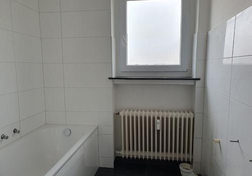 20260317_135346 (Klein).jpg