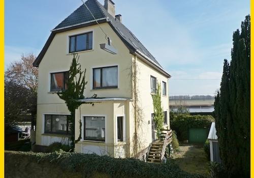 Aushang Expose Totelbild