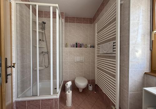 Badezimmer Dusche OG