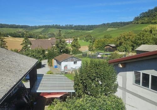 Blick aus dem Küchenfenster