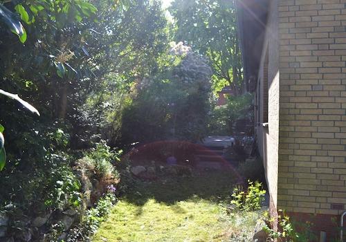 Blick von hinten zur Terasse