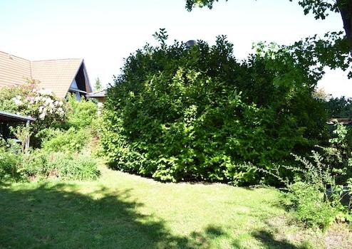 Property thumbnail 17