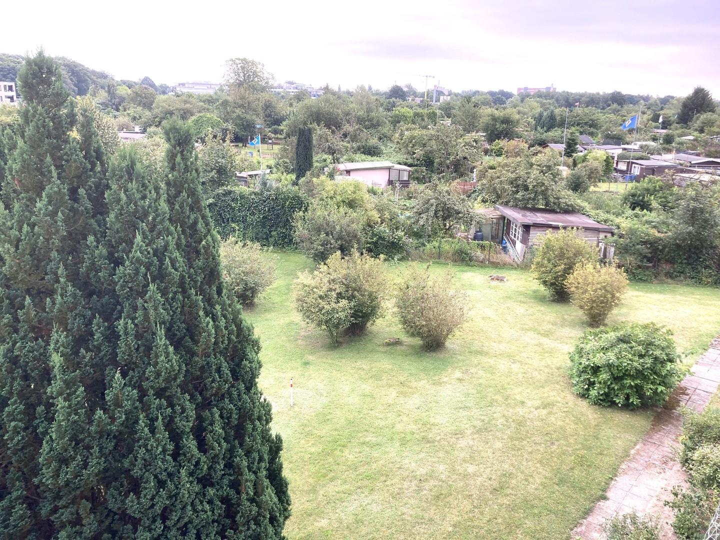 Blick ins Grüne vom Balkon