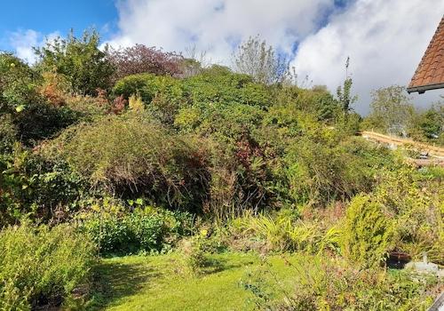 Ein Traum für alle Gartenfreunde