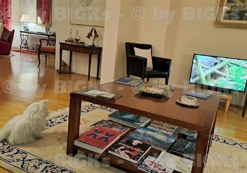 Detail-moeblierte -Wohnung