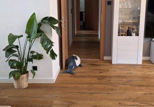 Blick zu den Räumlichkeiten