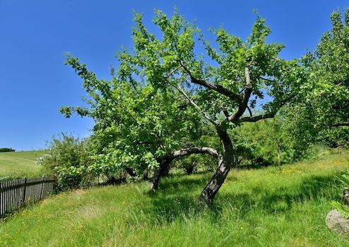 Property thumbnail 45