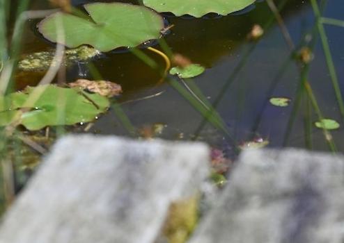 Property thumbnail 46