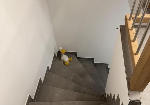 Kellertreppe