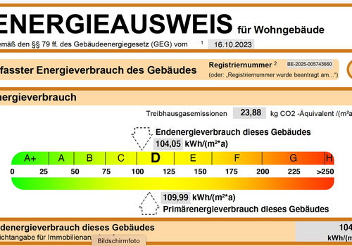 Auszug Energieausweis