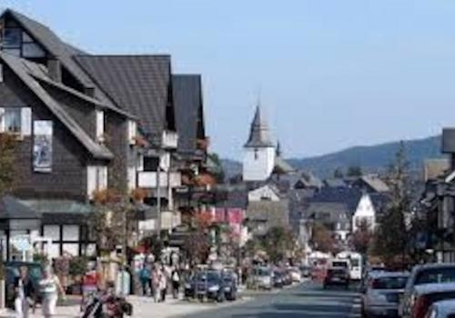 Ferienhaus Winterberg kaufen022