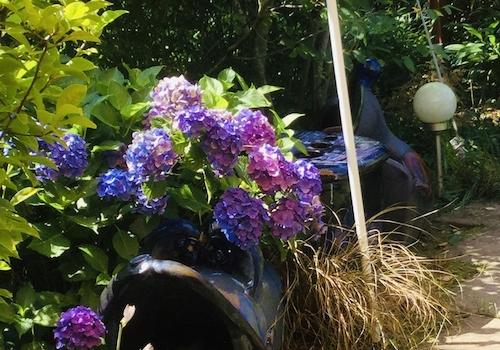 Eingewachsener Garten 