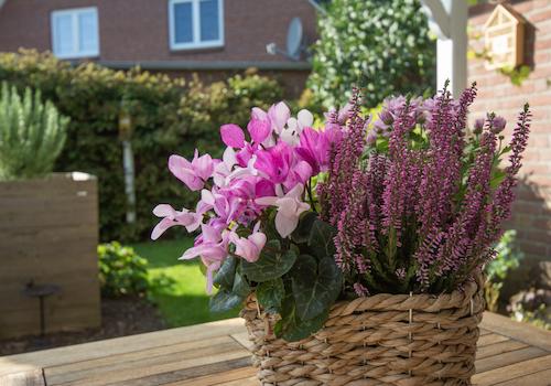 Viel Liebe zum Detail