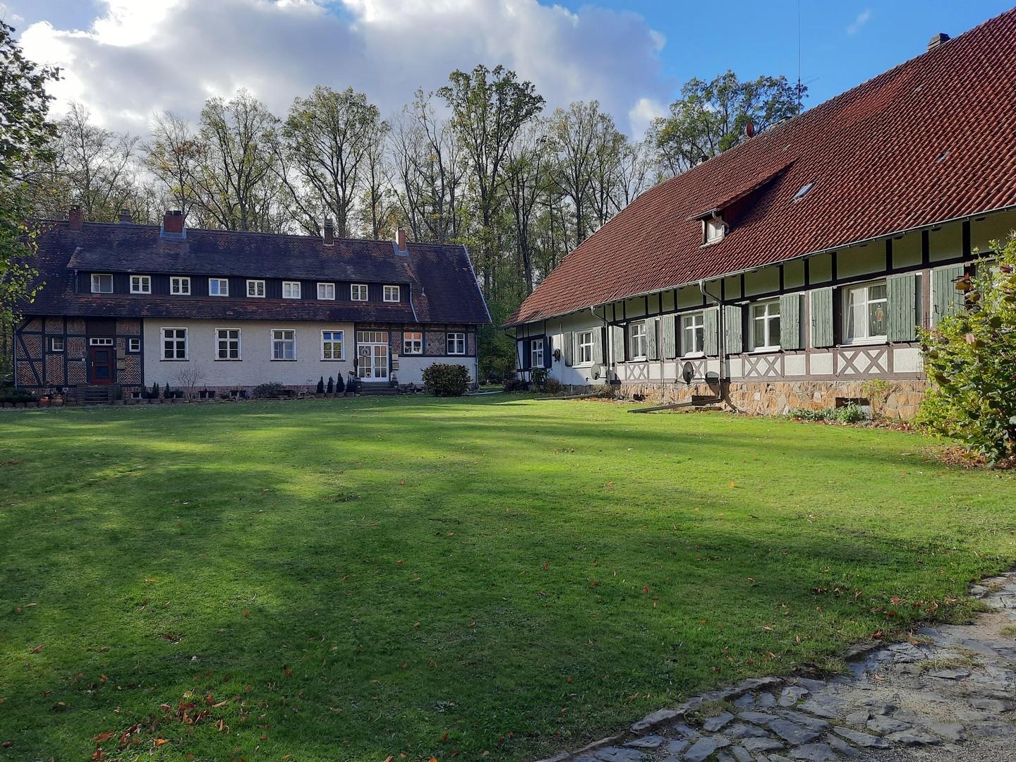 Spielplatz für Hunde