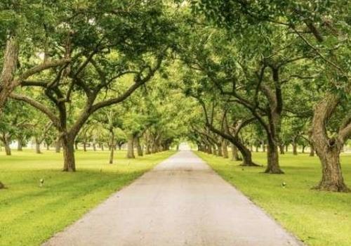 Der Abtnaundorfer Park