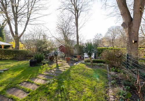 Außenansicht Garten 