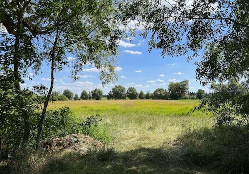 Feld hinter dem Anwesen