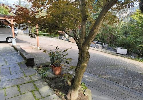 A-Stellplätze Rampe