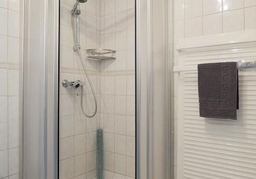 Dusche und Handtuchheizkörper