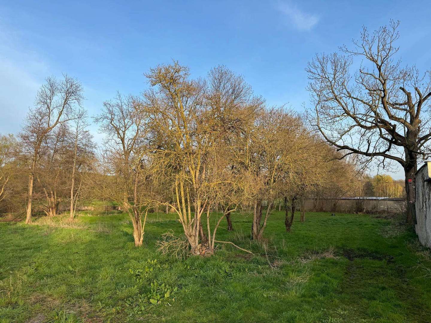 Hier könnte Ihr Zuhause sein