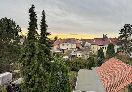 Blick auf den Garten