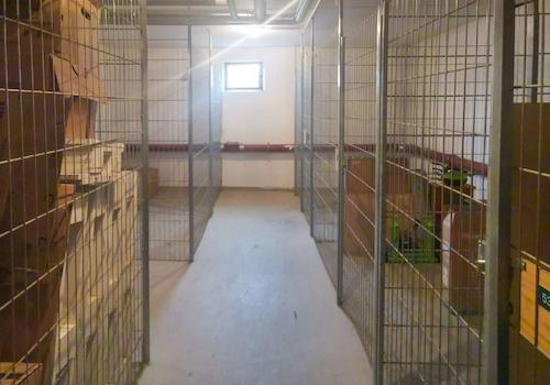 Aufgeräumter Kellerbereich