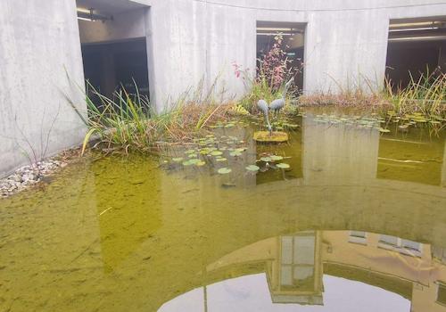 Belüftungsschacht TG mit Teich