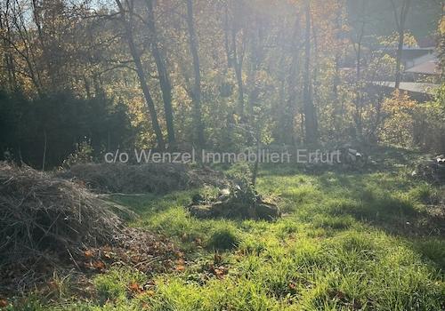 Baugrundstück mit Weitblick - Naturparadies zum Selbstgestalten!