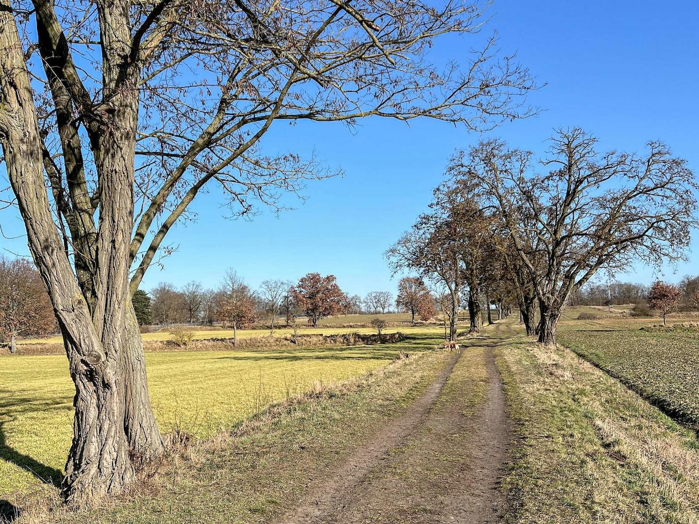 Spazierweg