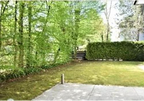 Garten / Terrasse (SW)