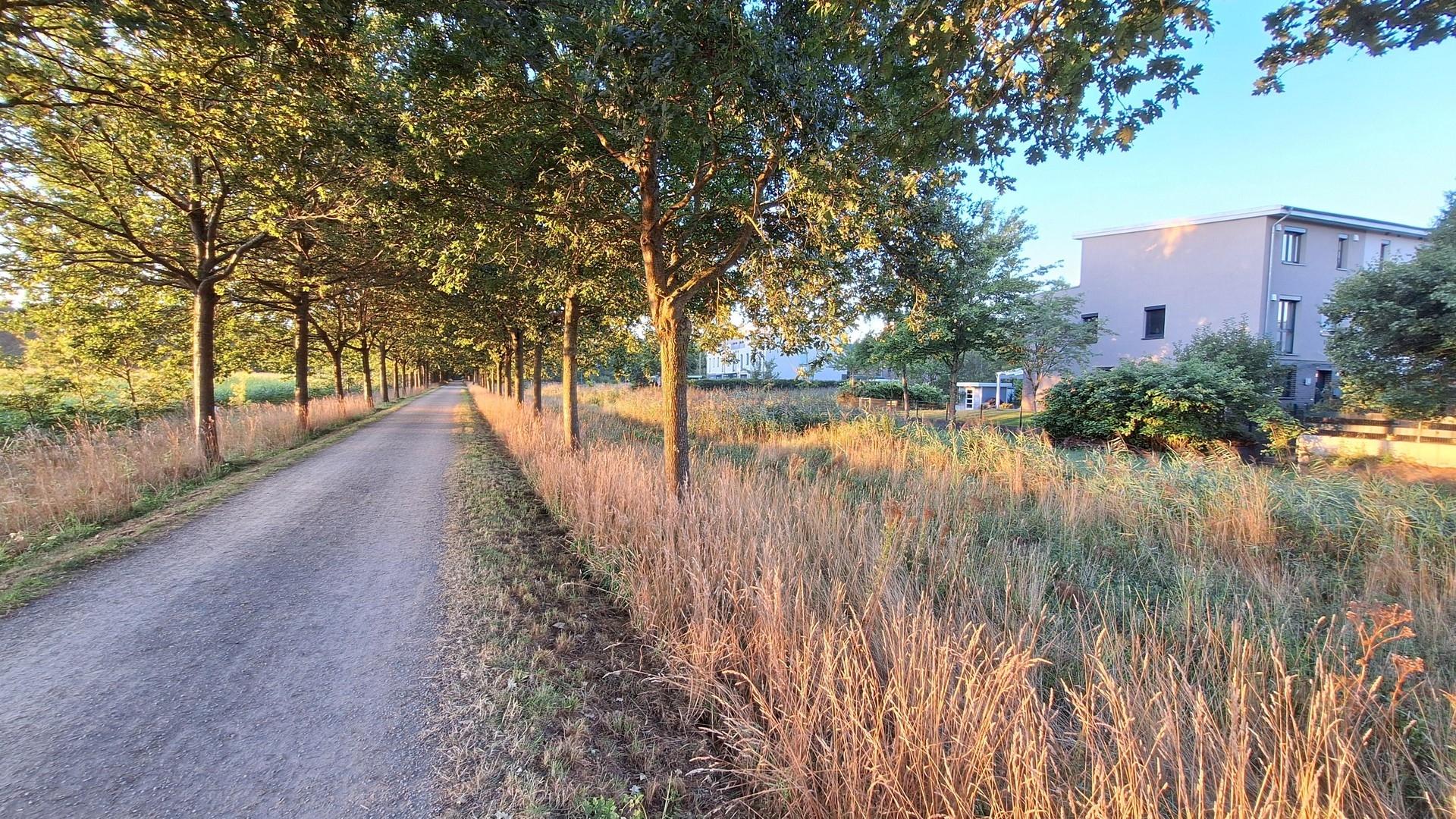 Allee - Sicht auf Haus