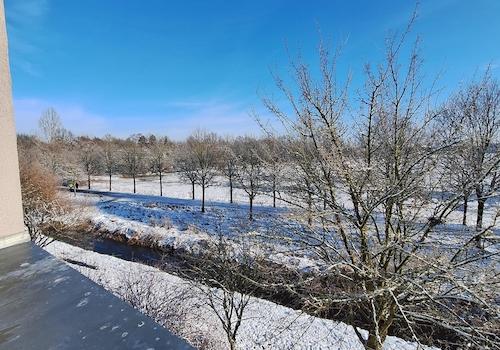 Winterimpressionen - Nordost