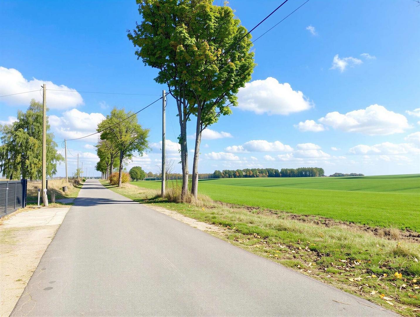 Zufahrtsstraße