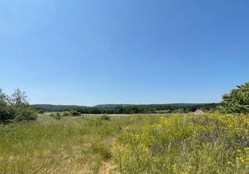 Blick Richtung Haide