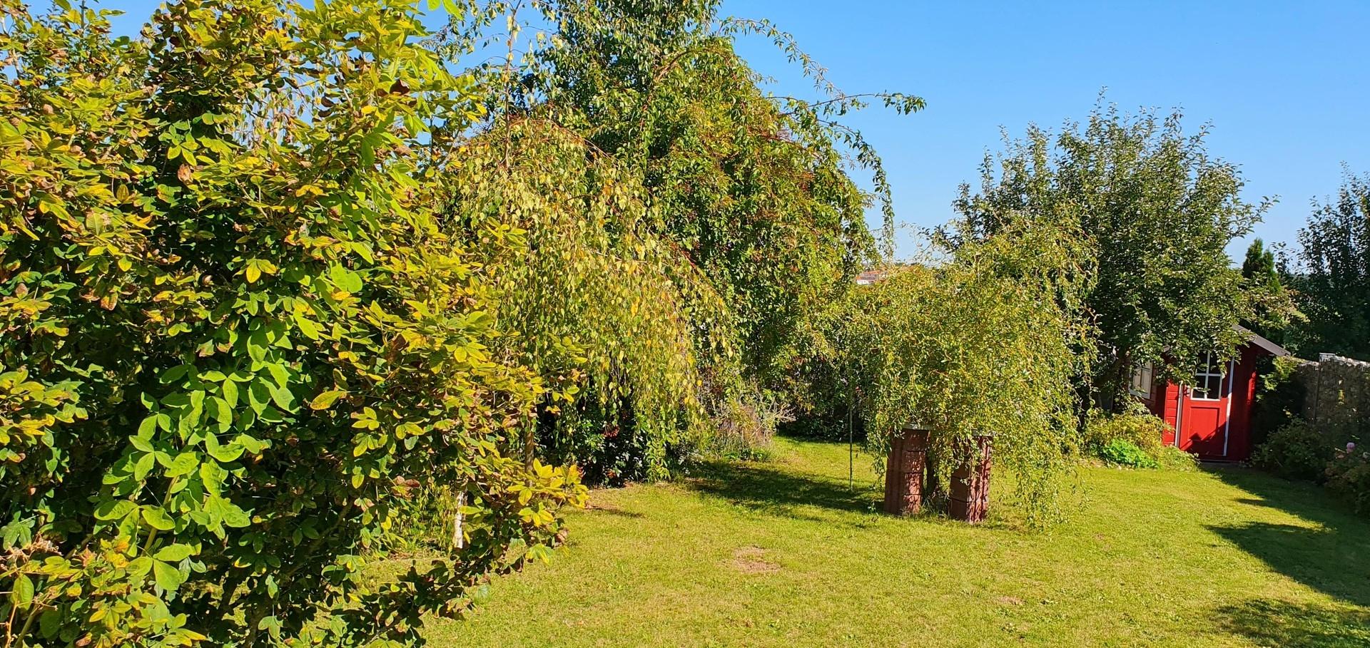 Garten
