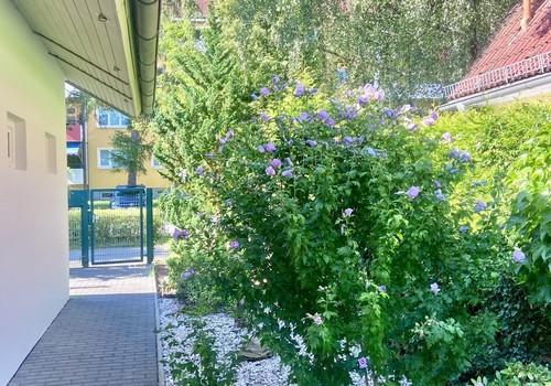 Blick Richtung Garten-Pforte